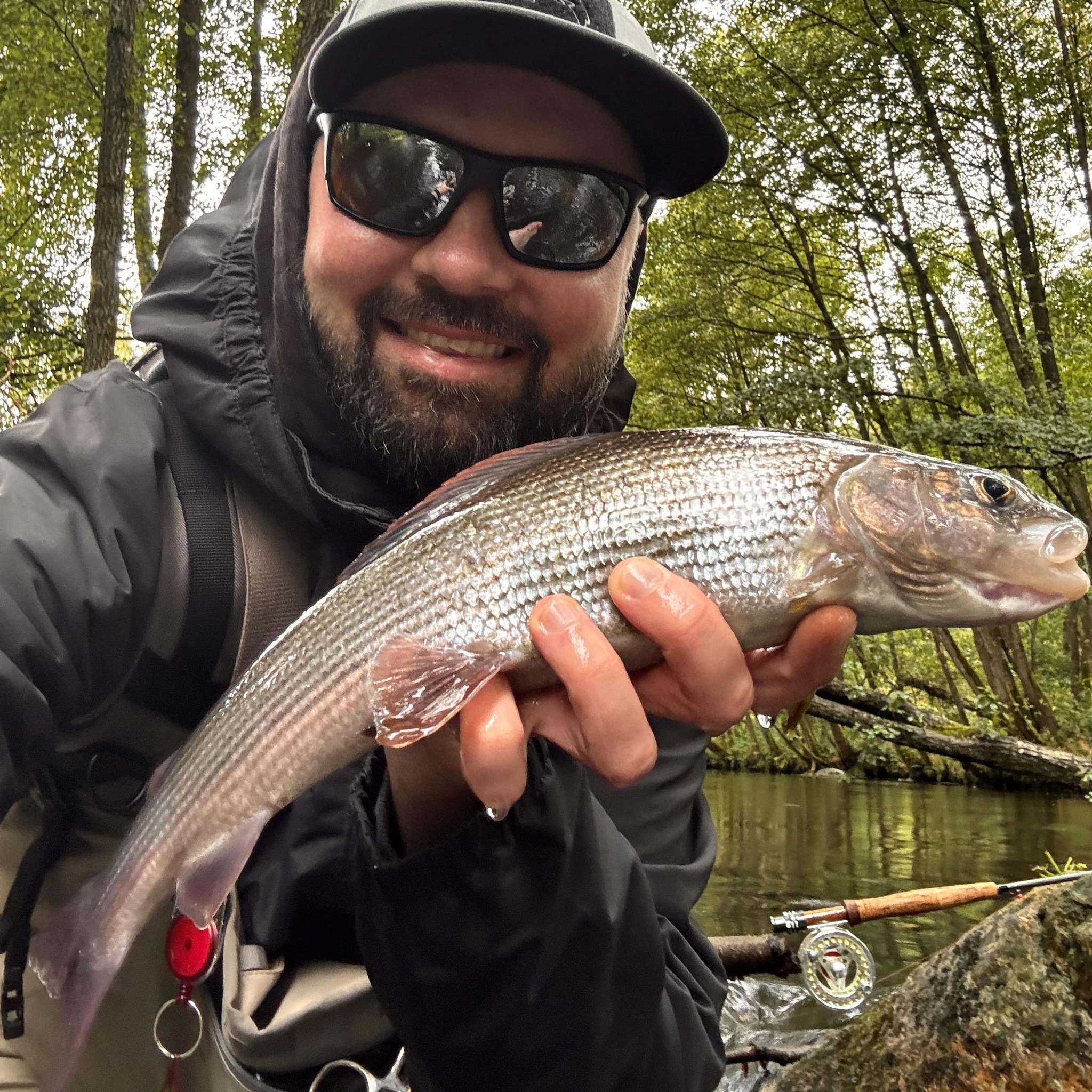 michal malik michal malik